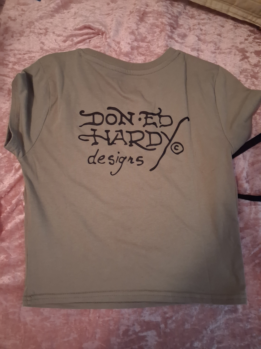 Ed Hardy Sage Green Short Sleeve Logo Tee